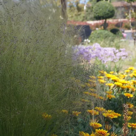Les Jardins De Santa Giulia - Charmante Dhte ゲストハウス