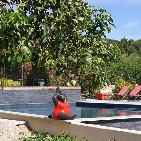 Affittacamere Les Jardins De Santa Giulia - Charmante Dhte 3*