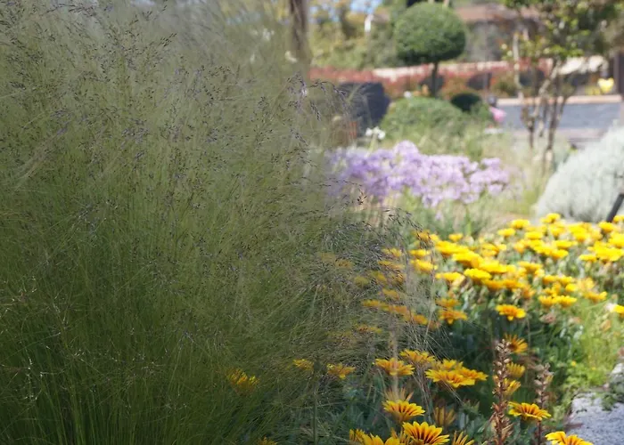 Les Jardins De Santa Giulia - Charmante Dhte בית הארחה