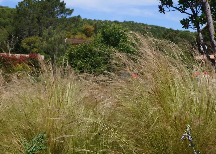 Les Jardins De Santa Giulia - Charmante Dhte 3* פורטו-וישיו